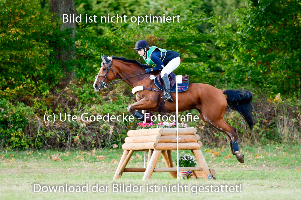 Bad Segeberg 09.10.2022 | 09102022 - XC CCI++ _233
