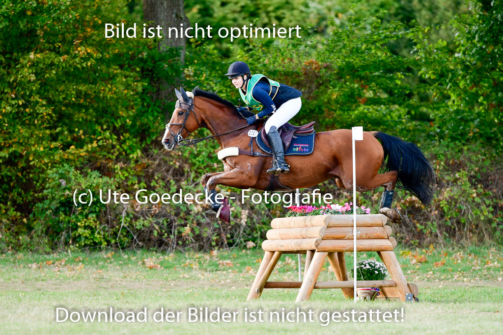 Bad Segeberg 09.10.2022 | 09102022 - XC CCI++ _234