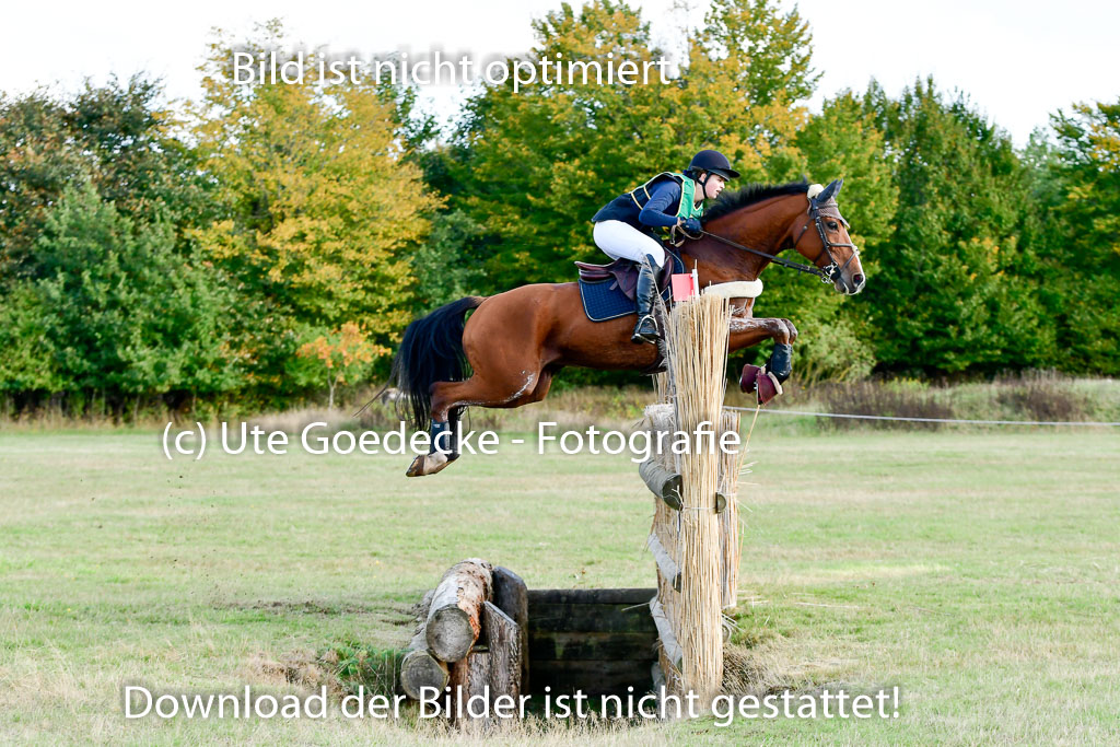 Bad Segeberg 09.10.2022 | 09102022 - XC CCI++ _237
