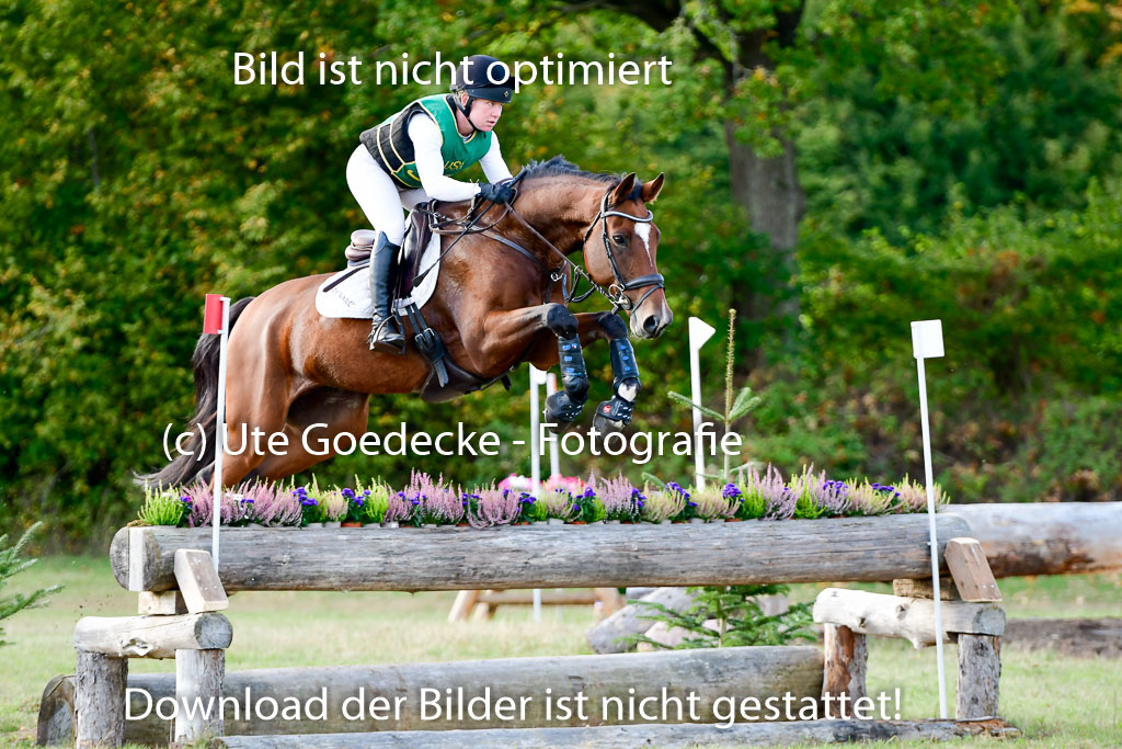 Bad Segeberg 09.10.2022 | 09102022 - XC CCI++ _240
