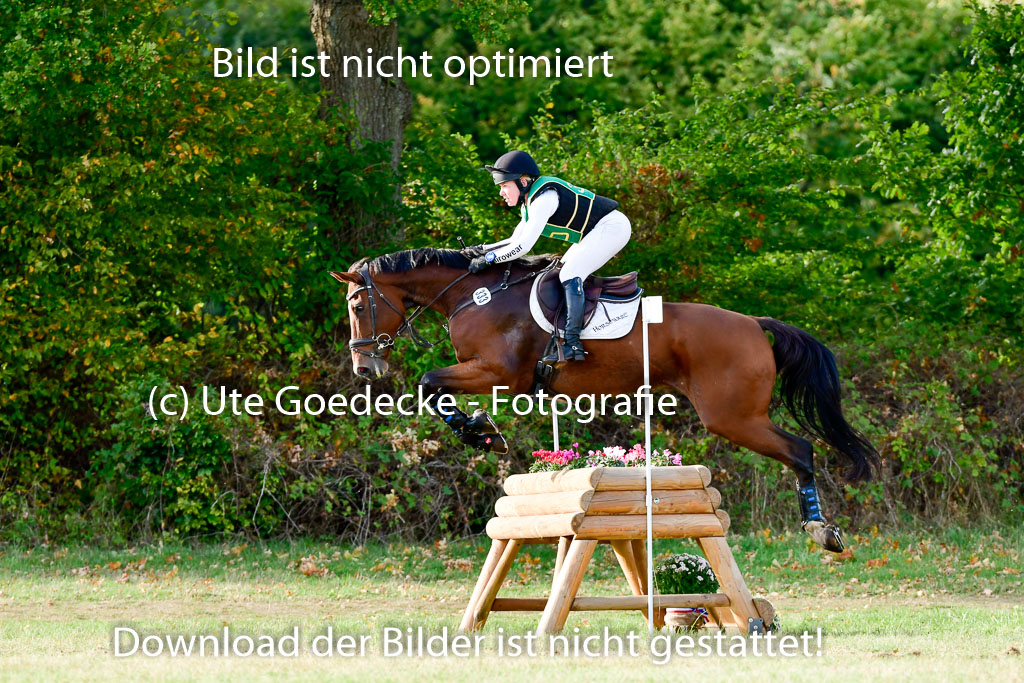 Bad Segeberg 09.10.2022 | 09102022 - XC CCI++ _242