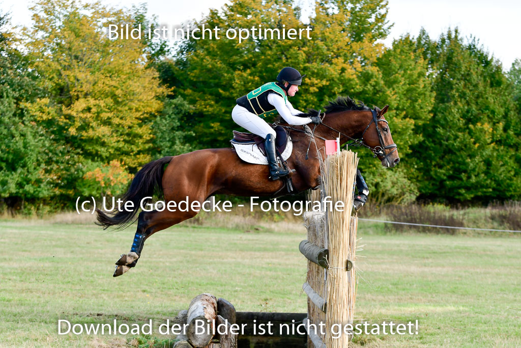 Bad Segeberg 09.10.2022 | 09102022 - XC CCI++ _246