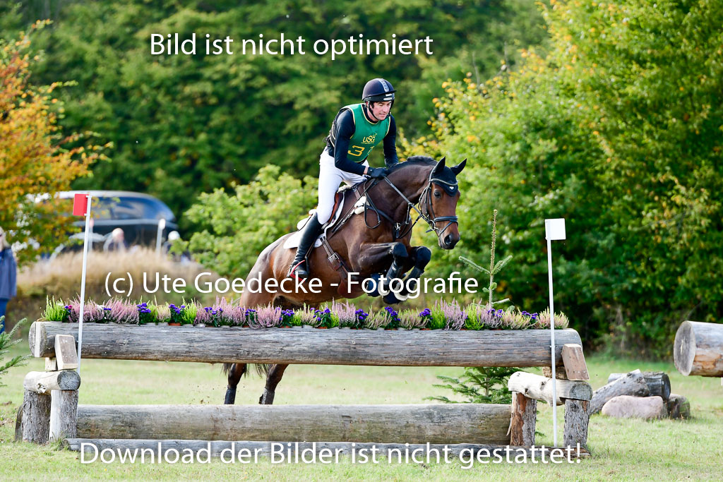Bad Segeberg 09.10.2022 | 09102022 - XC CCI++ _247