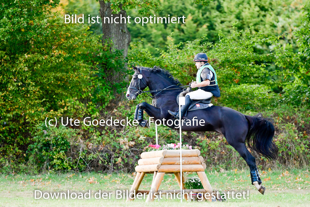 Bad Segeberg 09.10.2022 | 09102022 - XC CCI++ _259