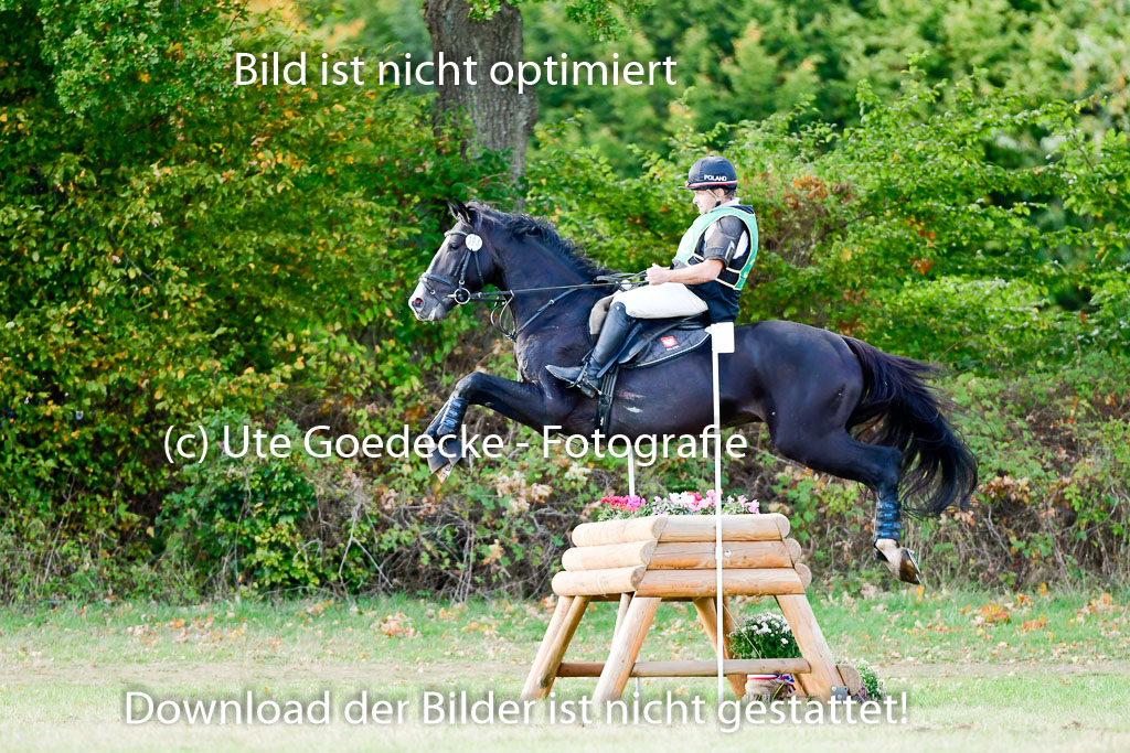 Bad Segeberg 09.10.2022 | 09102022 - XC CCI++ _260