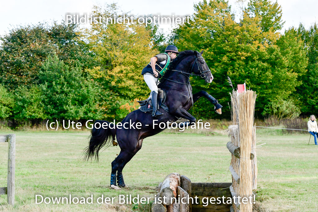 Bad Segeberg 09.10.2022 | 09102022 - XC CCI++ _265