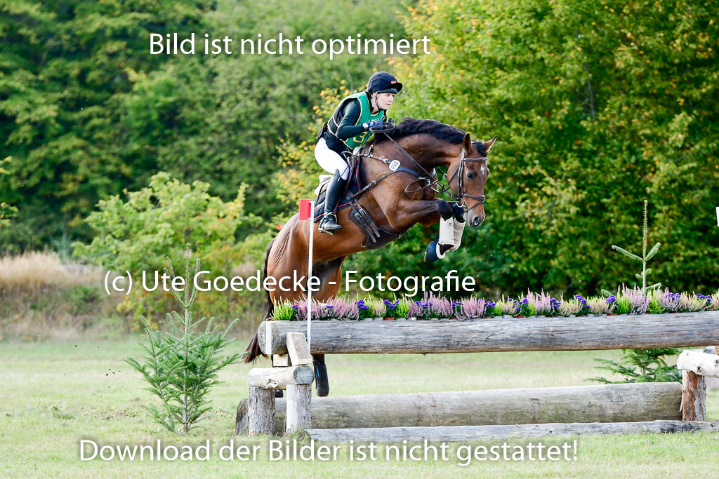 Bad Segeberg 09.10.2022 | 09102022 - XC CCI++ _270