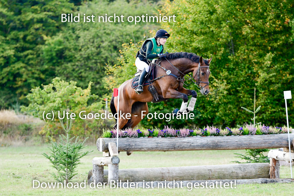 Bad Segeberg 09.10.2022 | 09102022 - XC CCI++ _271