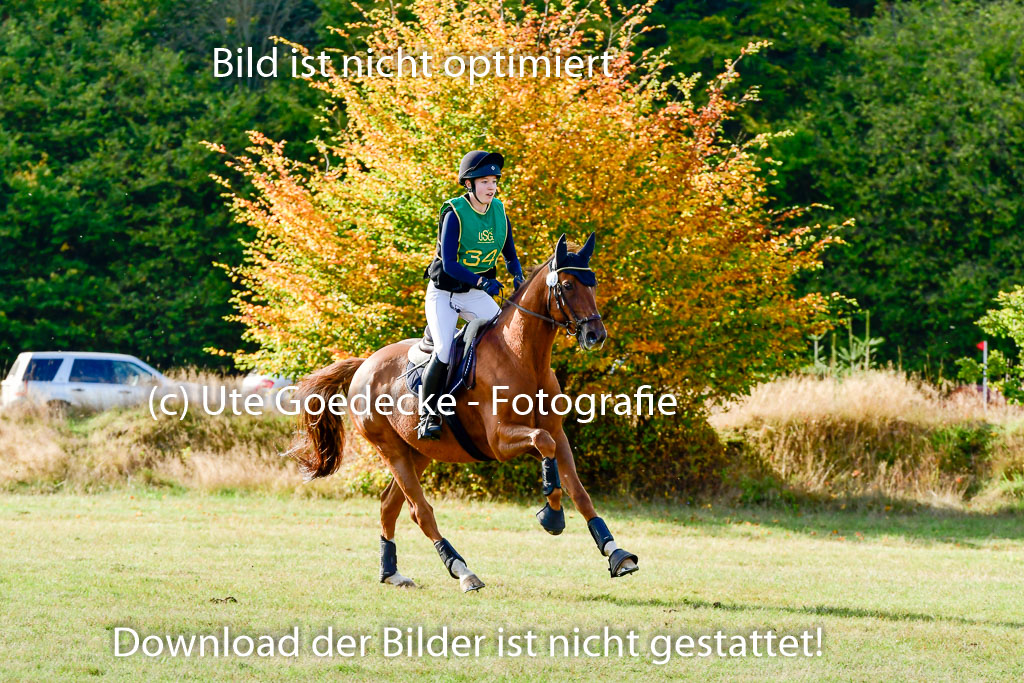 Bad Segeberg 09.10.2022 | 09102022 - XC CCI++ _272