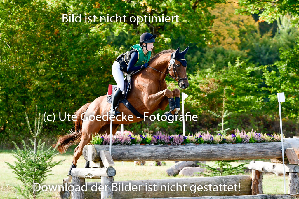 Bad Segeberg 09.10.2022 | 09102022 - XC CCI++ _273