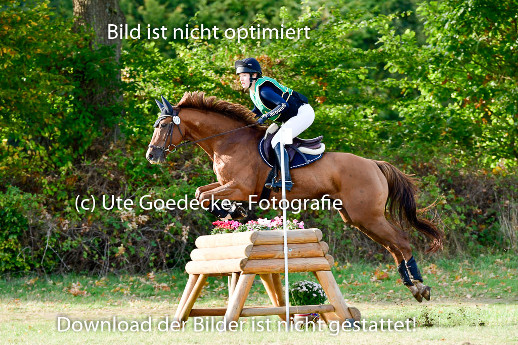 Bad Segeberg 09.10.2022 | 09102022 - XC CCI++ _275