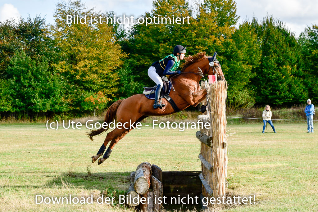 Bad Segeberg 09.10.2022 | 09102022 - XC CCI++ _277