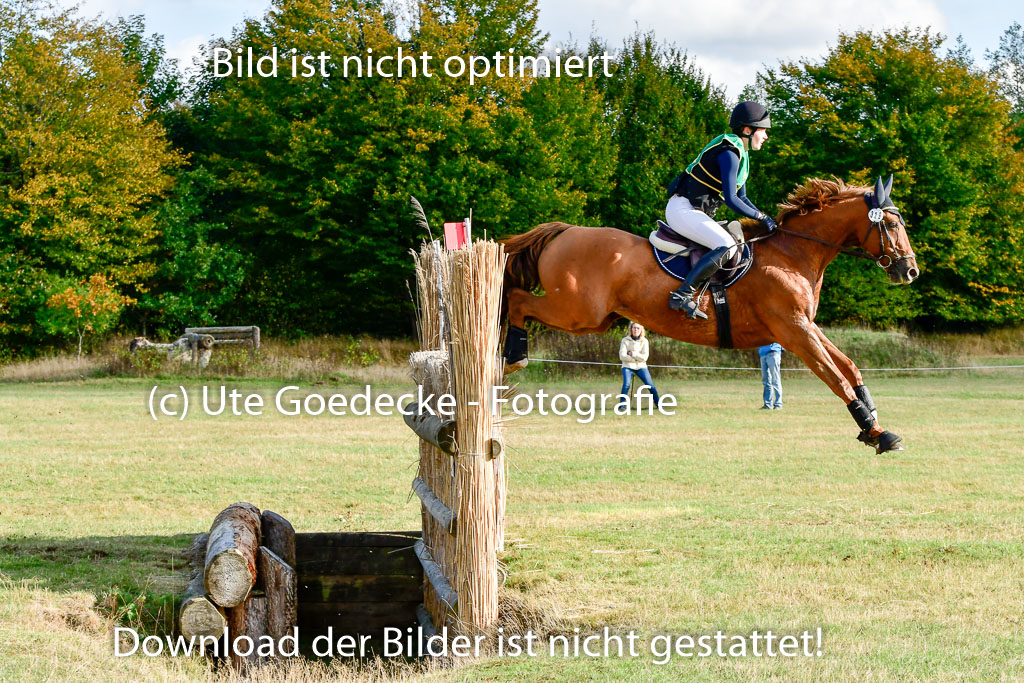 Bad Segeberg 09.10.2022 | 09102022 - XC CCI++ _279