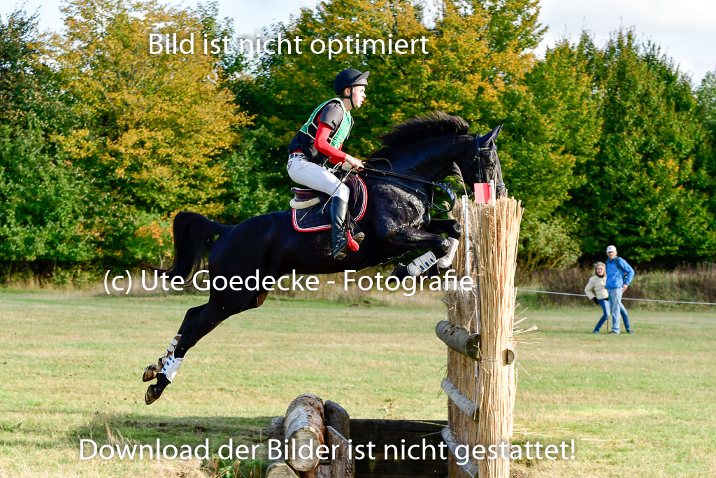Bad Segeberg 09.10.2022 | 09102022 - XC CCI++ _286