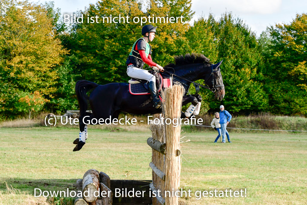 Bad Segeberg 09.10.2022 | 09102022 - XC CCI++ _287
