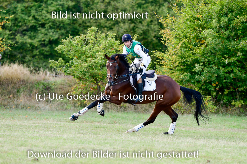 Bad Segeberg 09.10.2022 | 09102022 - XC CCI++ _293