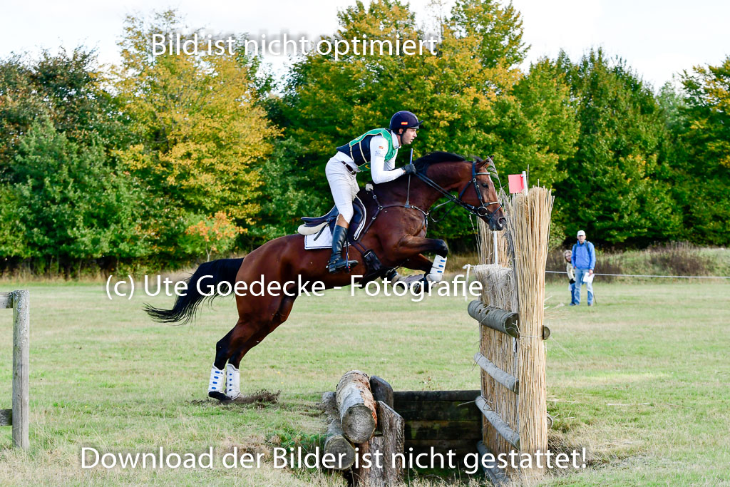 Bad Segeberg 09.10.2022 | 09102022 - XC CCI++ _296