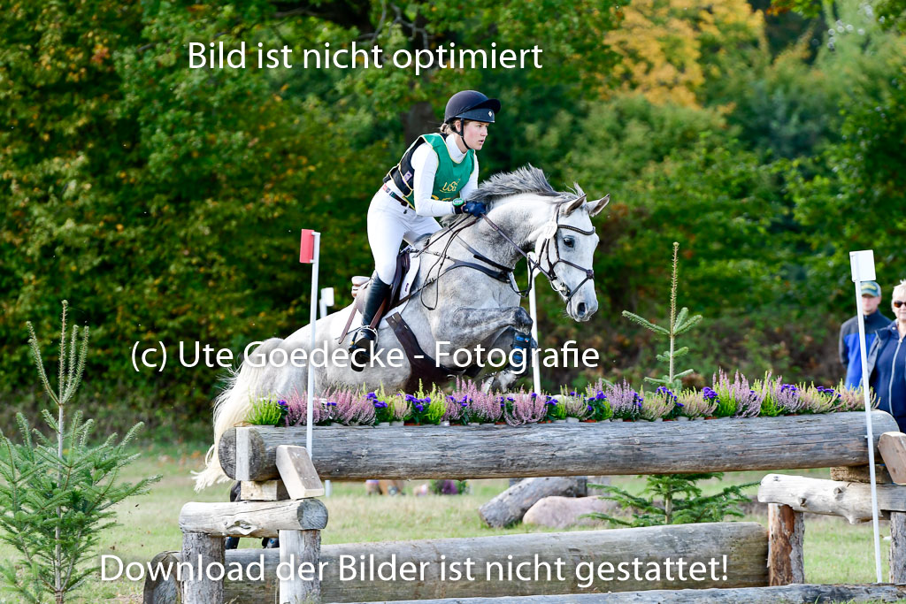 Bad Segeberg 09.10.2022 | 09102022 - XC CCI++ _299