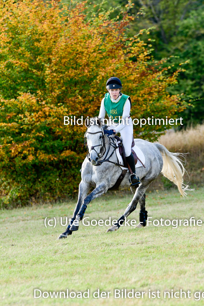 Bad Segeberg 09.10.2022 | 09102022 - XC CCI++ _303