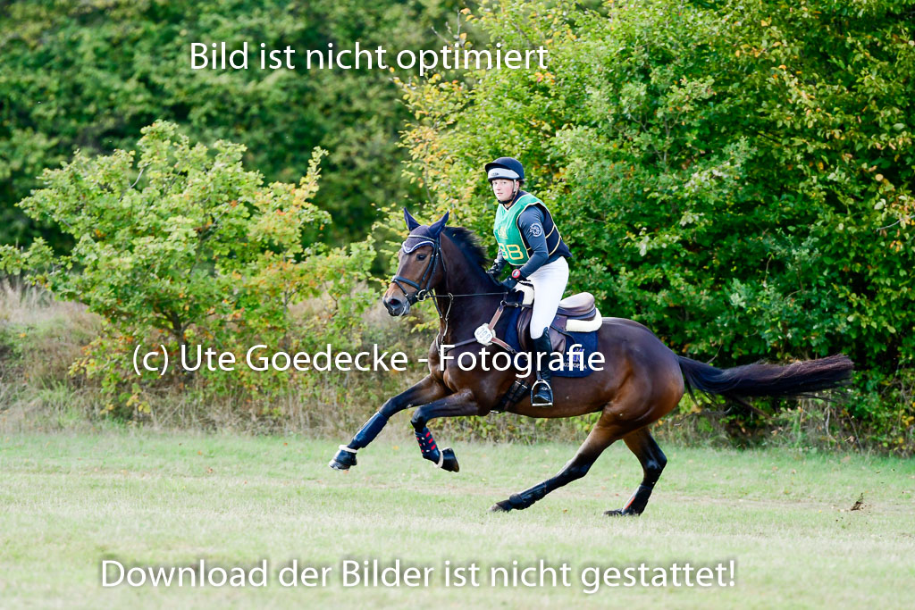 Bad Segeberg 09.10.2022 | 09102022 - XC CCI++ _309