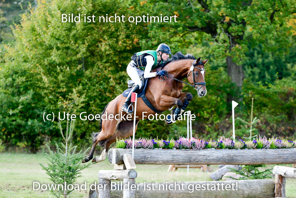 Bad Segeberg 09.10.2022 | 09102022 - XC CCI++ _310