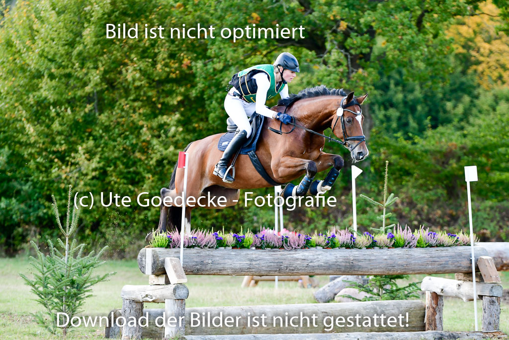 Bad Segeberg 09.10.2022 | 09102022 - XC CCI++ _311