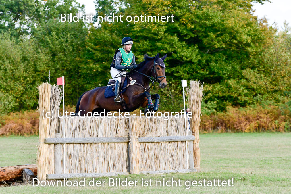 Bad Segeberg 09.10.2022 | 09102022 - XC CCI++ _312