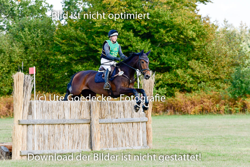 Bad Segeberg 09.10.2022 | 09102022 - XC CCI++ _313
