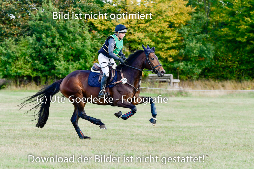 Bad Segeberg 09.10.2022 | 09102022 - XC CCI++ _314