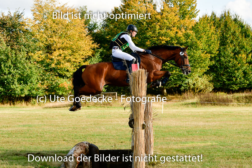 Bad Segeberg 09.10.2022 | 09102022 - XC CCI++ _318