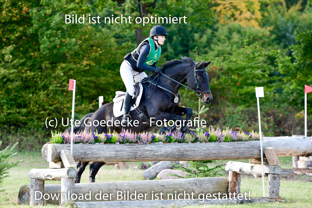 Bad Segeberg 09.10.2022 | 09102022 - XC CCI++ _319