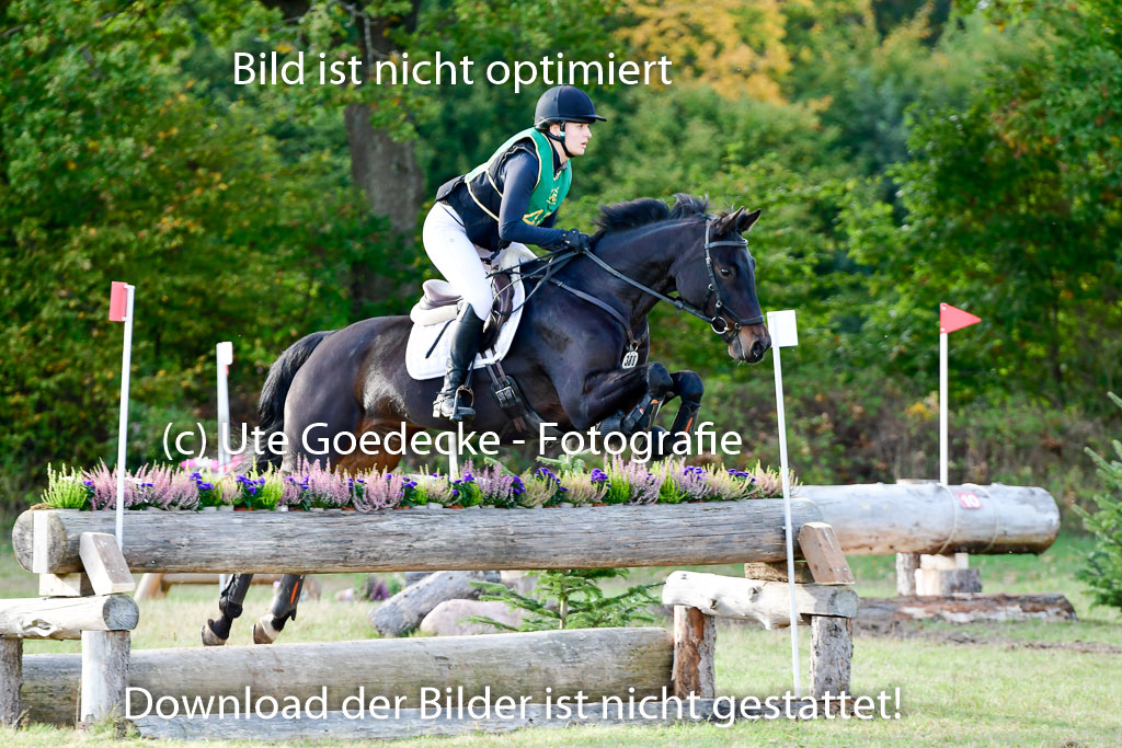 Bad Segeberg 09.10.2022 | 09102022 - XC CCI++ _320