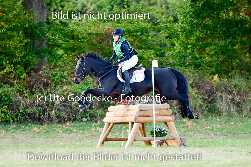 Bad Segeberg 09.10.2022 | 09102022 - XC CCI++ _323