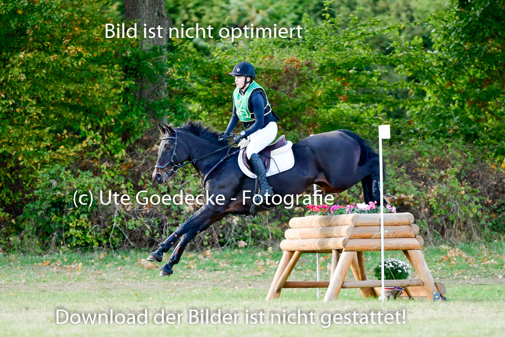 Bad Segeberg 09.10.2022 | 09102022 - XC CCI++ _324