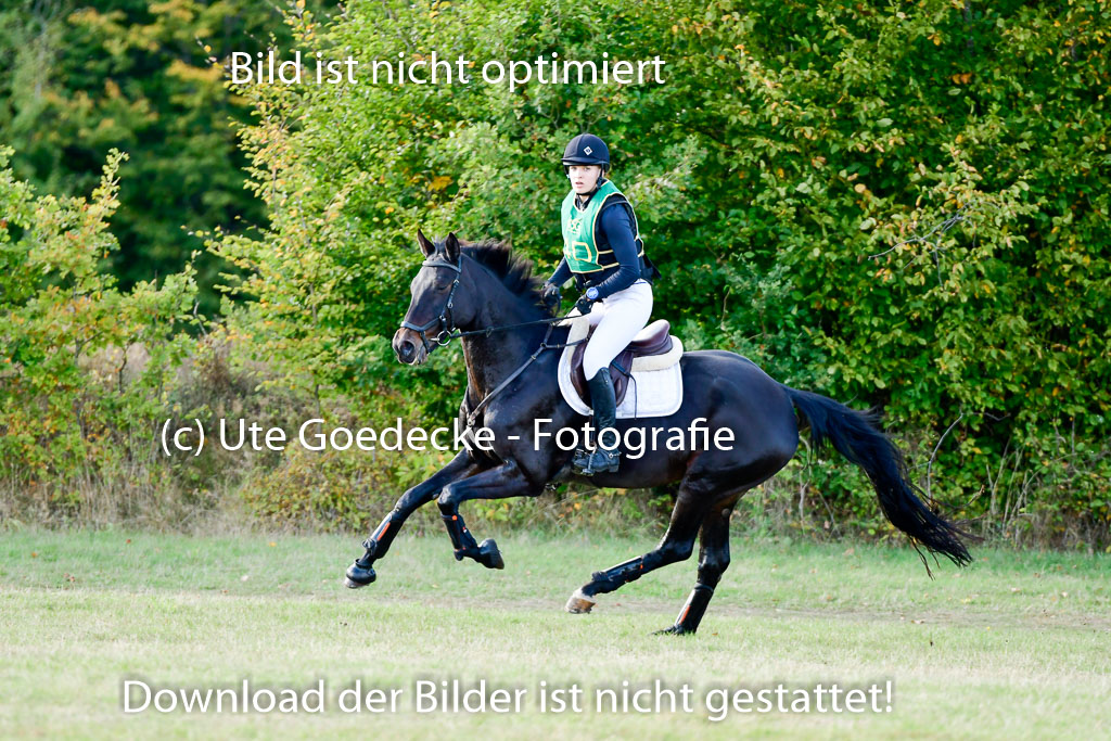 Bad Segeberg 09.10.2022 | 09102022 - XC CCI++ _325