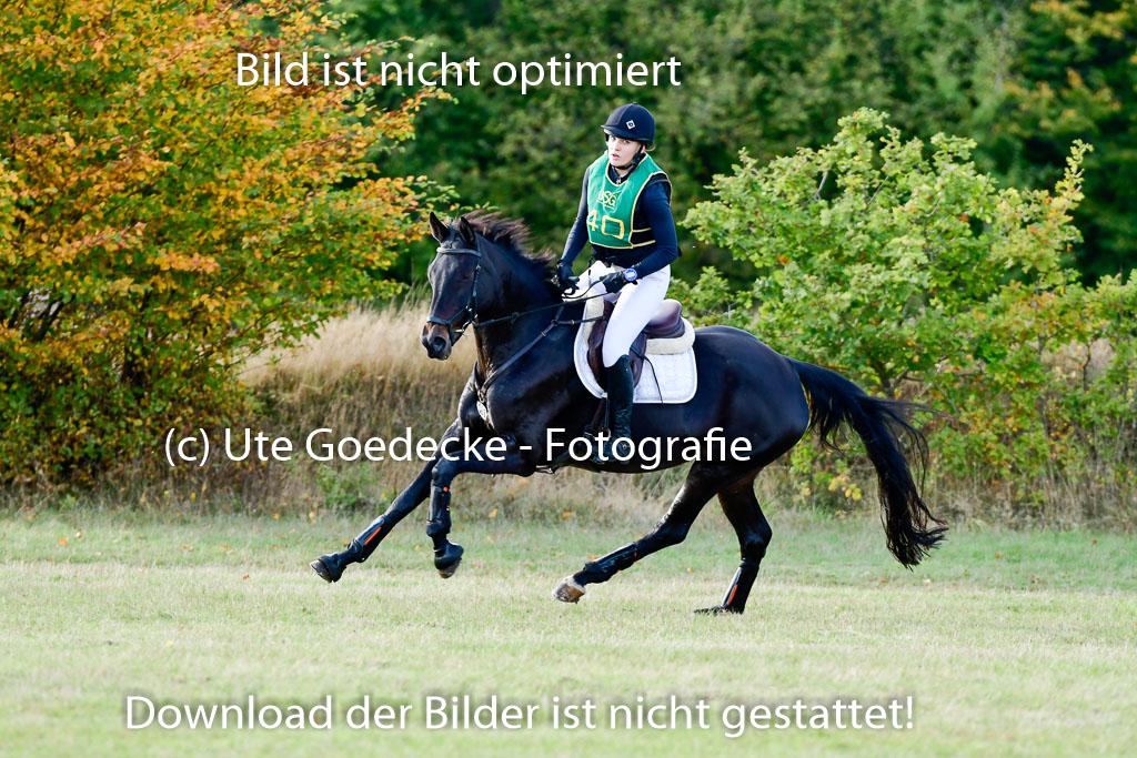 Bad Segeberg 09.10.2022 | 09102022 - XC CCI++ _326