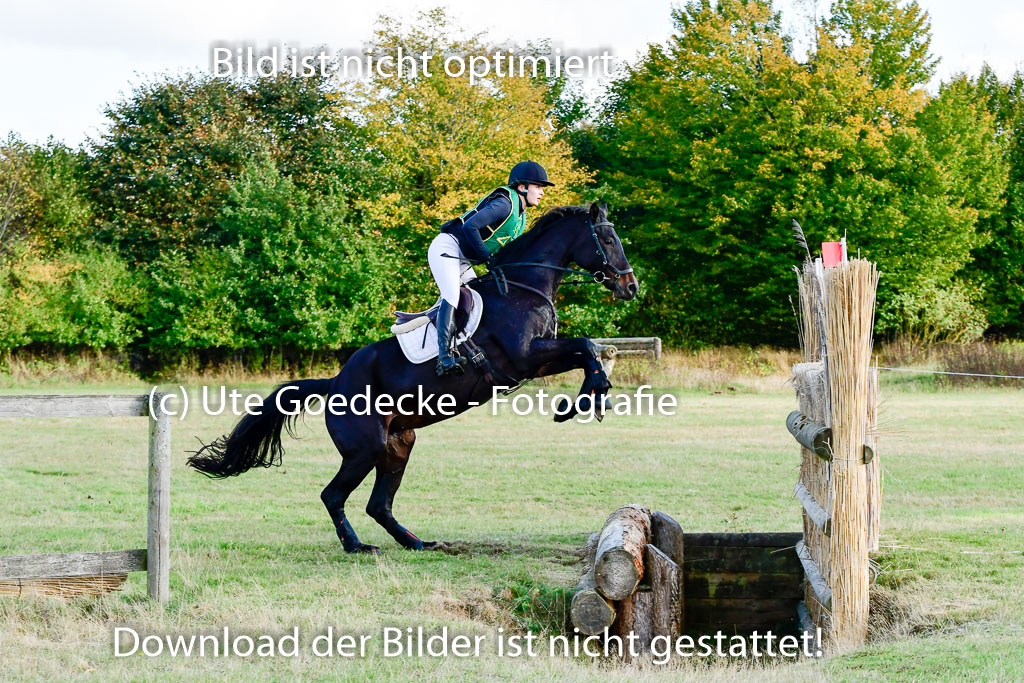 Bad Segeberg  09.10.2022 | 09102022 - XC CCI++ _329 