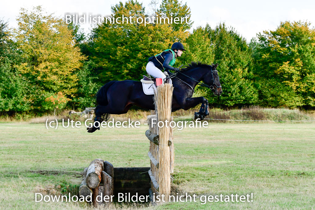 Bad Segeberg 09.10.2022 | 09102022 - XC CCI++ _332