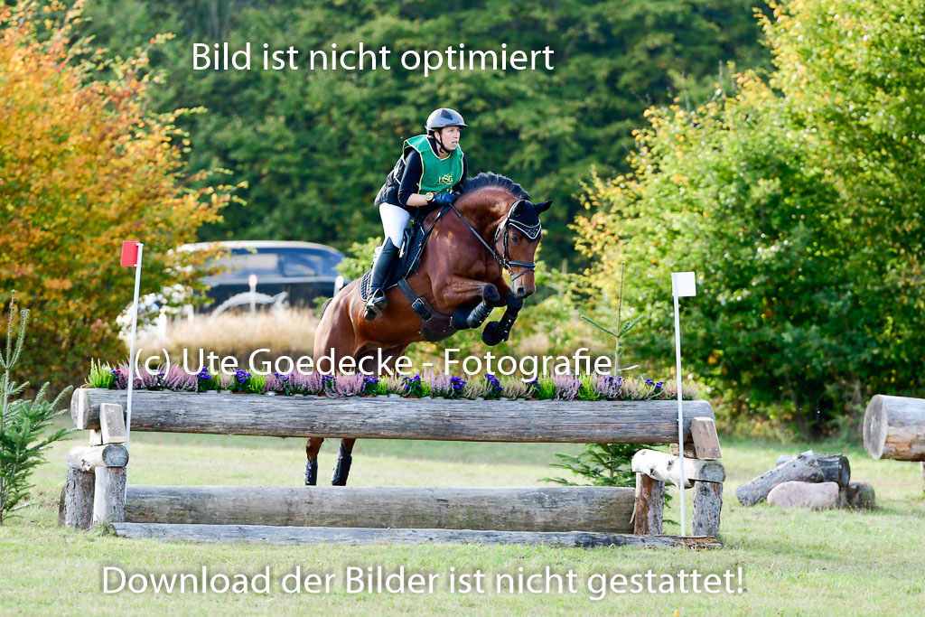 Bad Segeberg 09.10.2022 | 09102022 - XC CCI++ _333