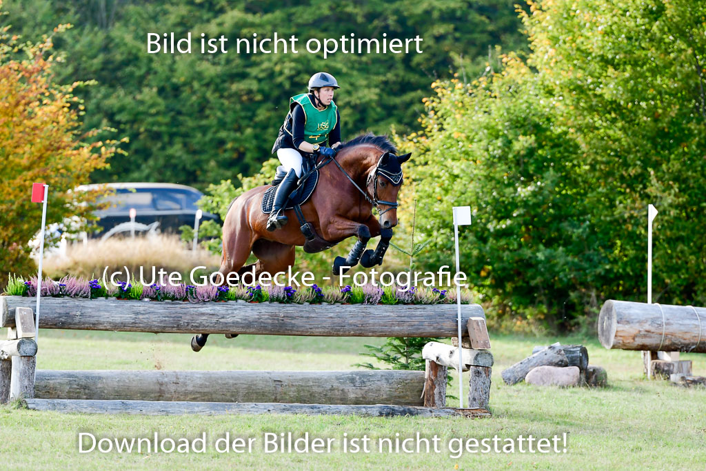 Bad Segeberg 09.10.2022 | 09102022 - XC CCI++ _334