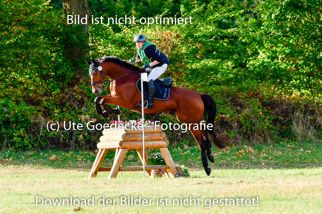 Bad Segeberg 09.10.2022 | 09102022 - XC CCI++ _335