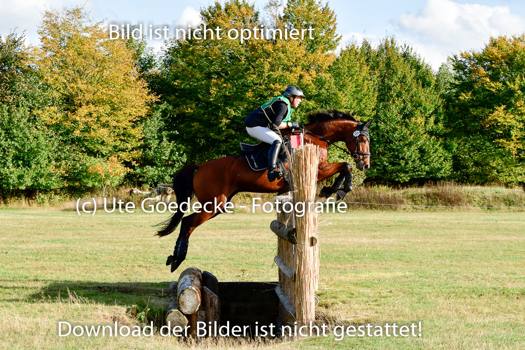 Bad Segeberg 09.10.2022 | 09102022 - XC CCI++ _339