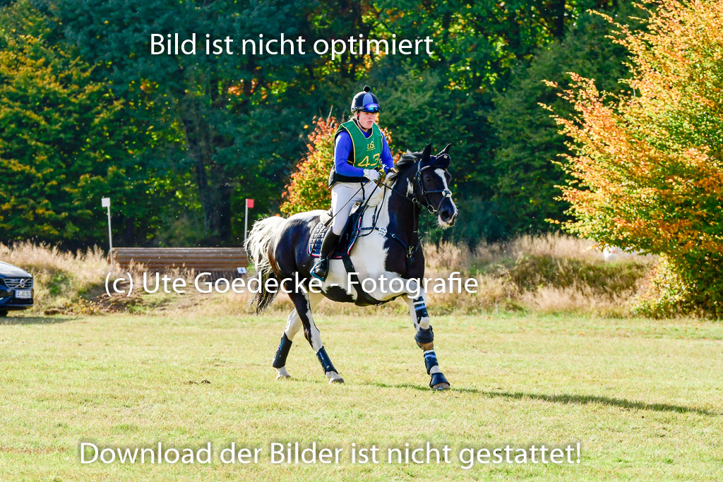 Bad Segeberg 09.10.2022 | 09102022 - XC CCI++ _341
