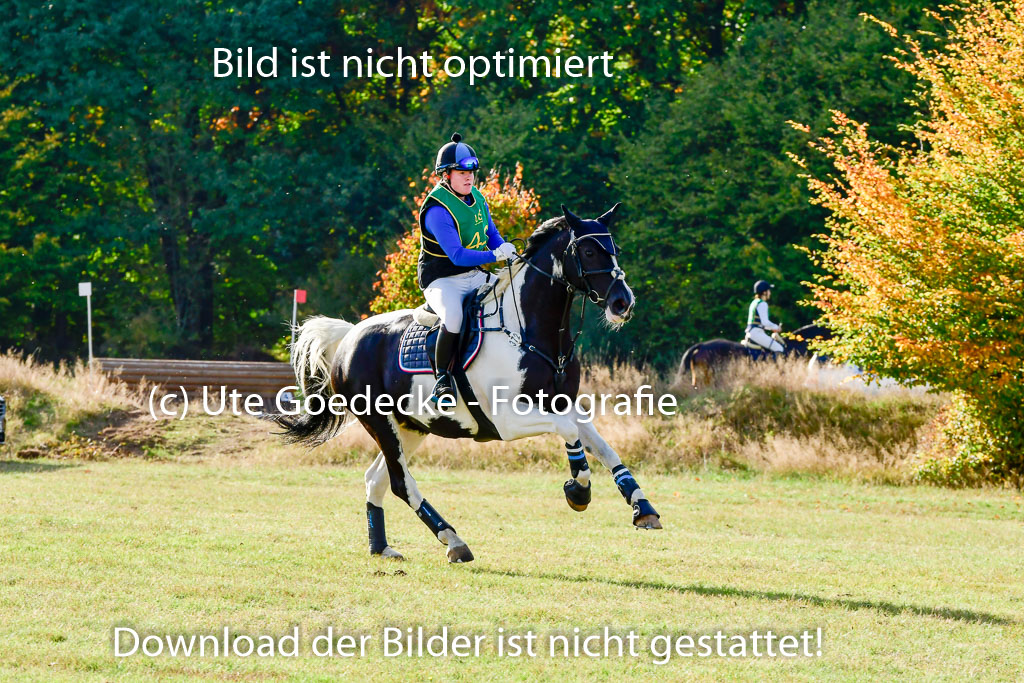 Bad Segeberg 09.10.2022 | 09102022 - XC CCI++ _342
