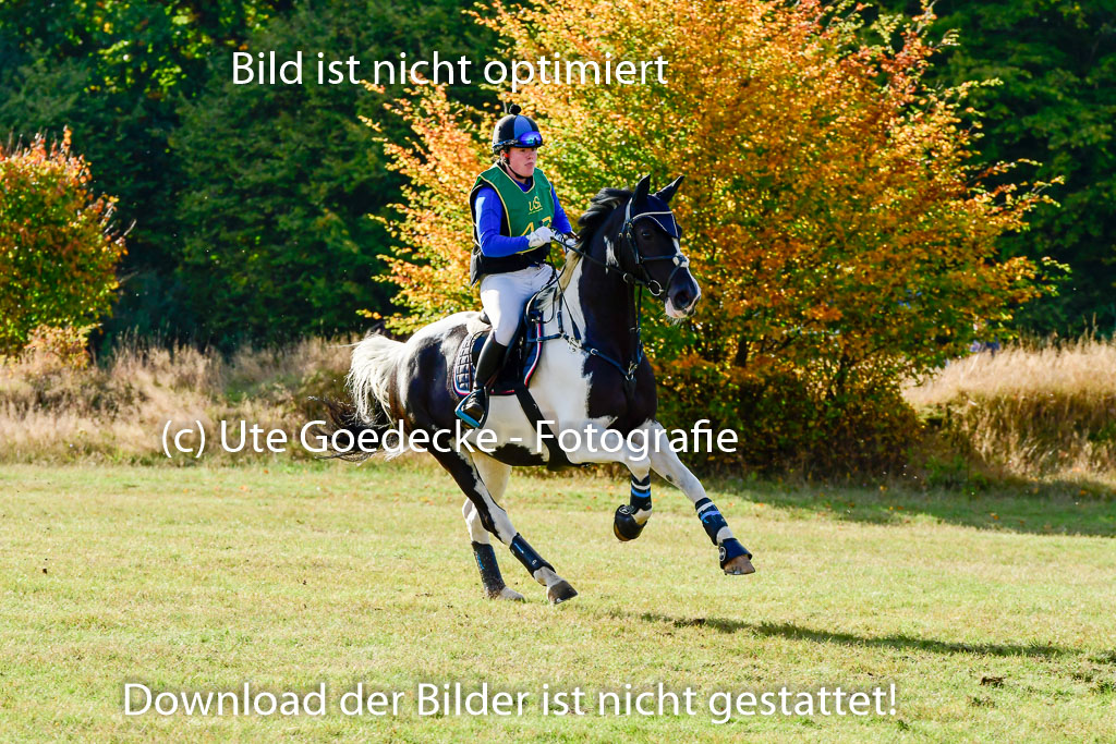 Bad Segeberg 09.10.2022 | 09102022 - XC CCI++ _343