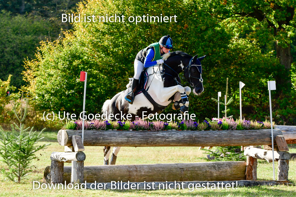 Bad Segeberg 09.10.2022 | 09102022 - XC CCI++ _344