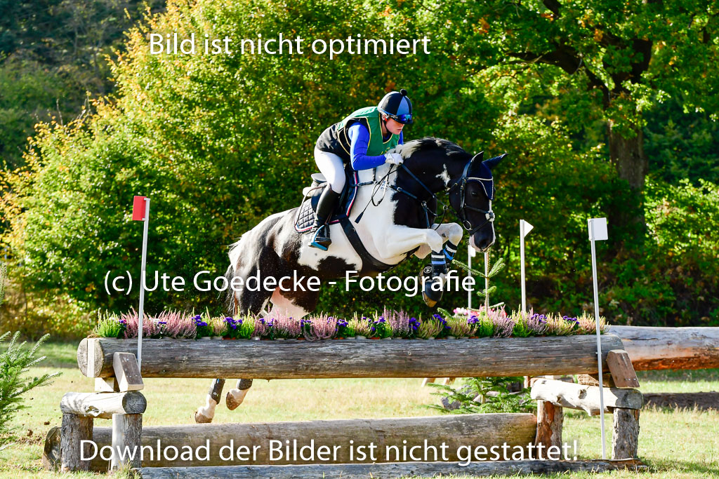 Bad Segeberg 09.10.2022 | 09102022 - XC CCI++ _345