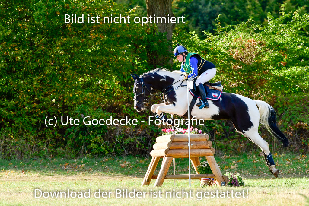 Bad Segeberg 09.10.2022 | 09102022 - XC CCI++ _346