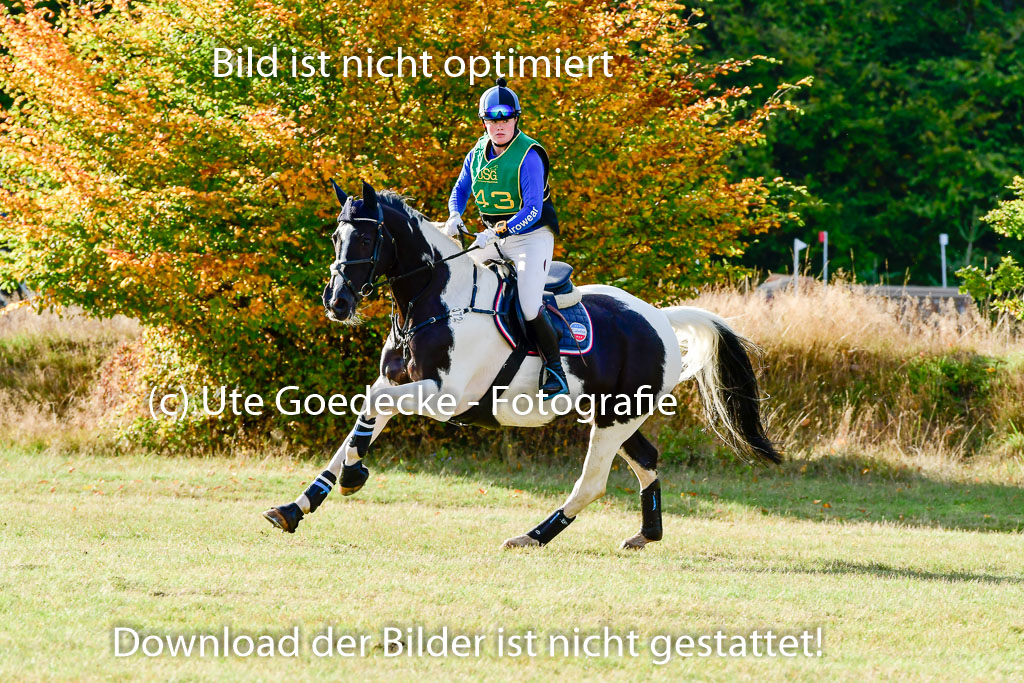 Bad Segeberg 09.10.2022 | 09102022 - XC CCI++ _350
