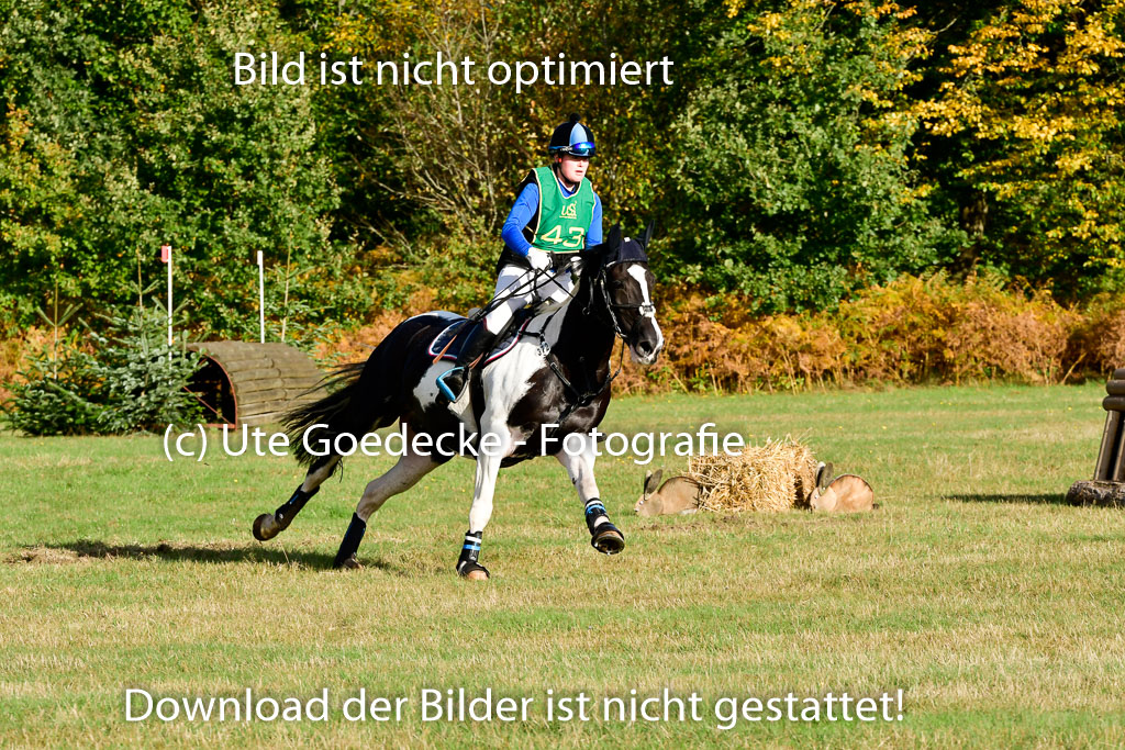 Bad Segeberg 09.10.2022 | 09102022 - XC CCI++ _352